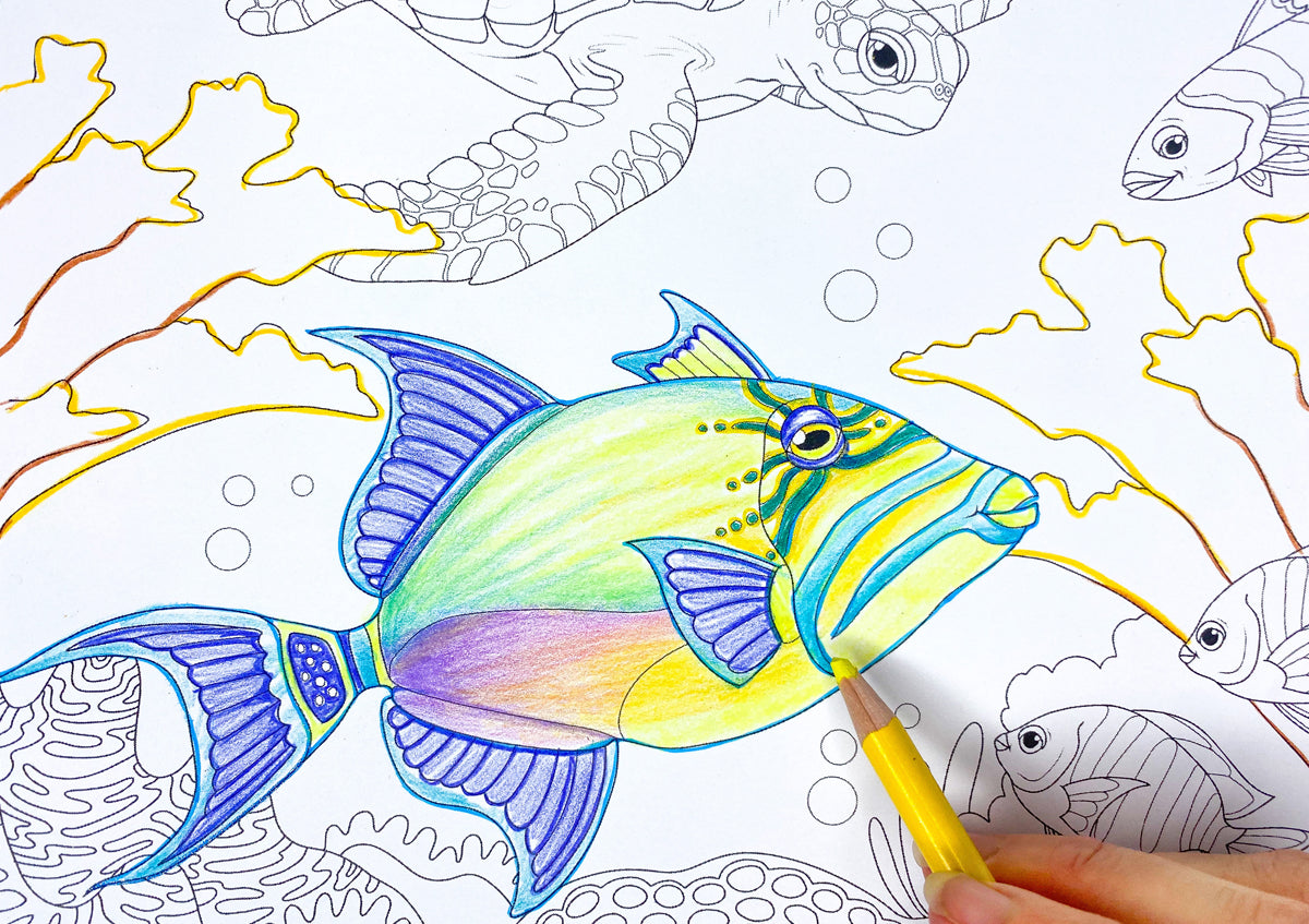Coloring a queen triggerfish from the Florida coastal water coloring book.