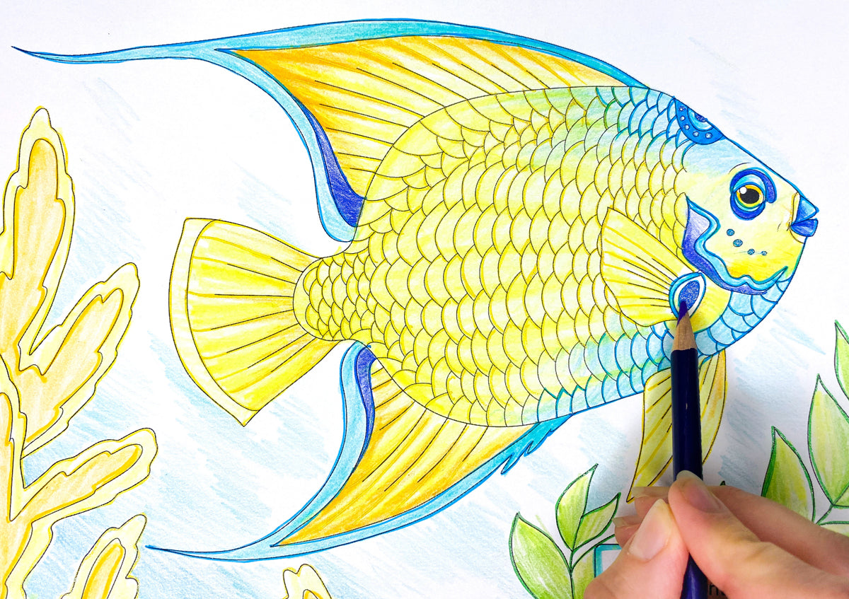 Coloring a queen angelfish from the Florida coastal waters coloring book. Using a combination of pen and colored pencils to create this vivid species of fish found in Florida.