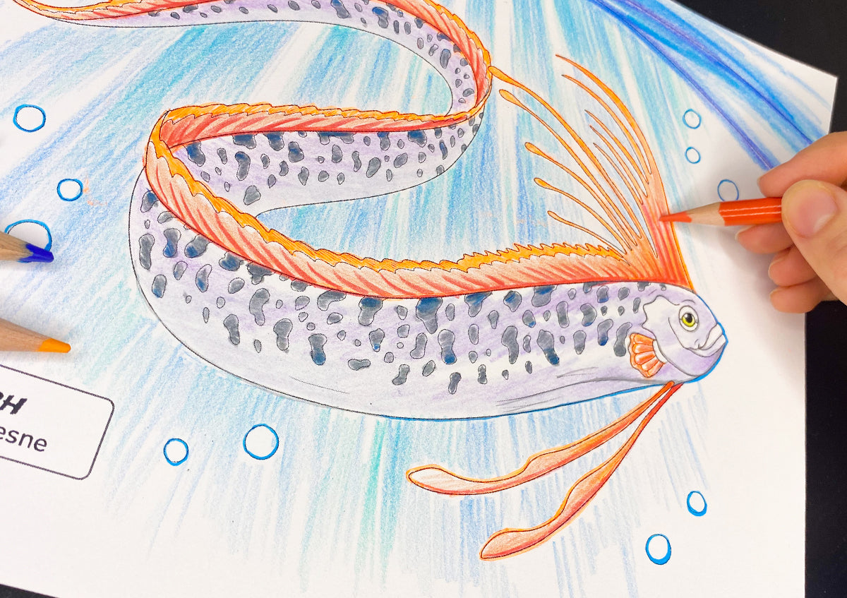 Color Your Way Through Florida's Coastal Waters