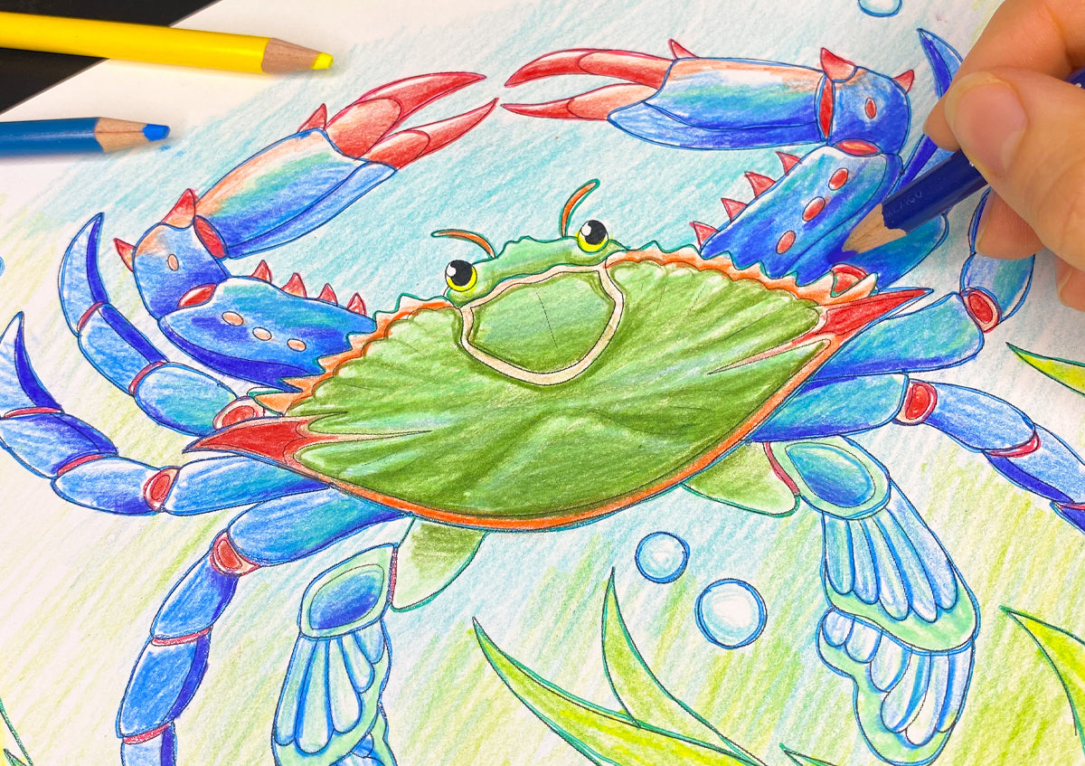 Color Your Way Through Florida's Coastal Waters
