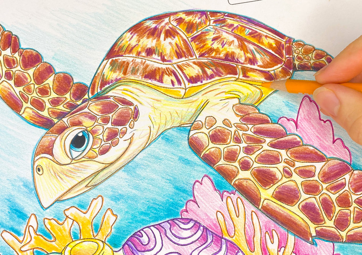 Color Your Way Through Florida's Coastal Waters