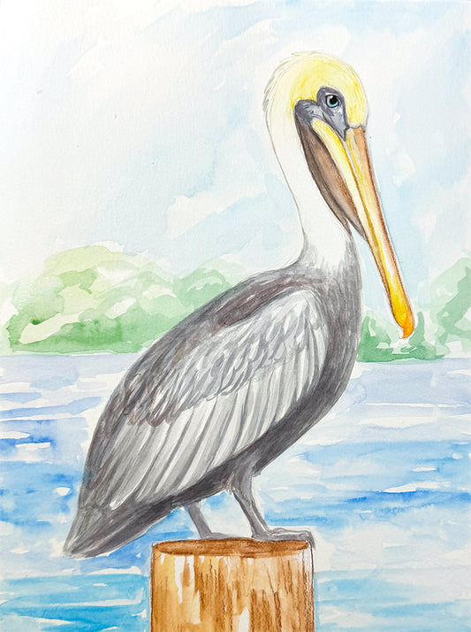 St. Pete Pelican | Watercolor Class | Apr 26th
