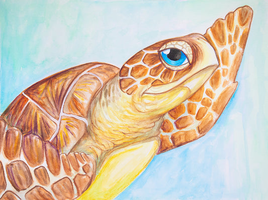Sally the Sea Turtle | Watercolor Class | May 18th