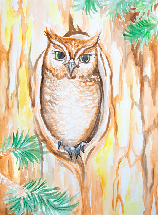Screechie the Owl | Watercolor Class | Jun 8th